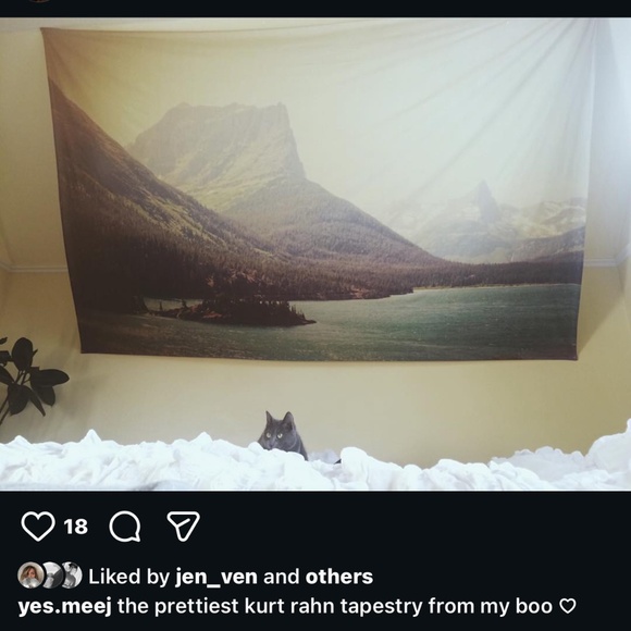 KURT RAHN PNW RETRO GLACIER TAPESTRY - Picture 4 of 4